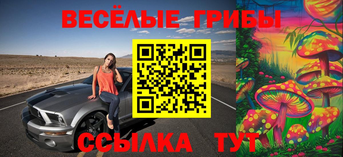 дарнет шоп  Галлюциногенные грибы Psilocybe  Вход с VPN  Горячий Ключ 
